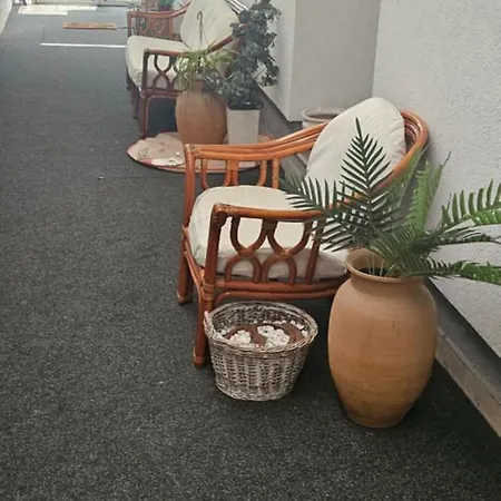 Executive Paradise Family And Business *